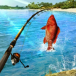 Fishing Clash: Catching Fish Game. Bass Hunting 3D 1.0.345 APK [MOD line never break/menu]