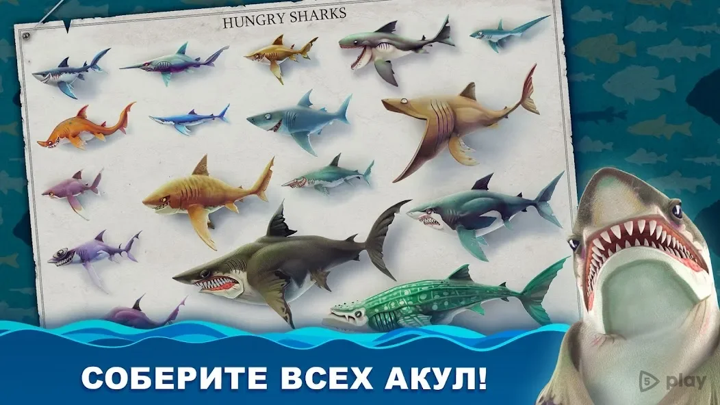 Hungry Shark World 6.4.6 APK [MOD money]