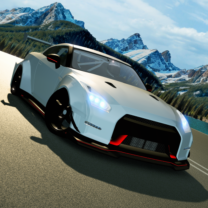 Racing Xperience Mod APK 4.3 [Unlimited money]